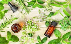 Best Attar Perfume In Kannauj