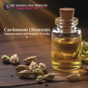 Cardamom Oleoresin Manufacturer and Supplier in India