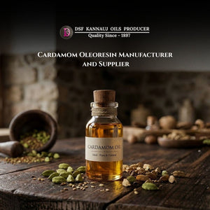 Cardamom Oleoresin Manufacturer and Supplier in Kannauj