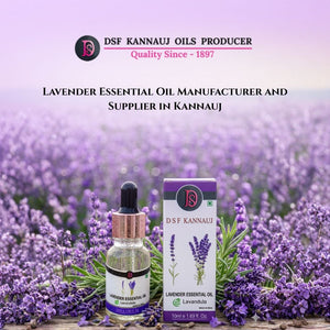 Lavender Essential Oil Manufacturer and Supplier in Kannauj