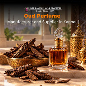 Oud Perfume Manufacturer and Supplier in Kannauj