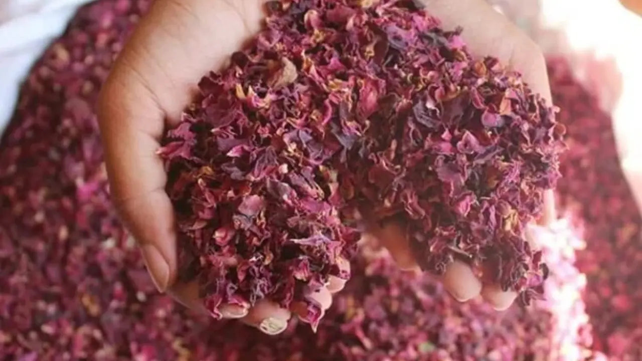 Rose Petals Manufacturer and Supplier in India