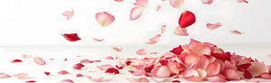 How to Find a Reliable Rose Petals Manufacturer and Supplier in India