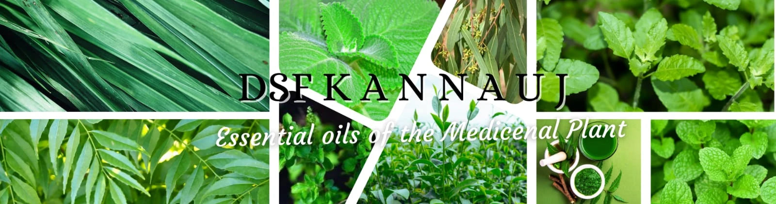 उपहार बॉक्स