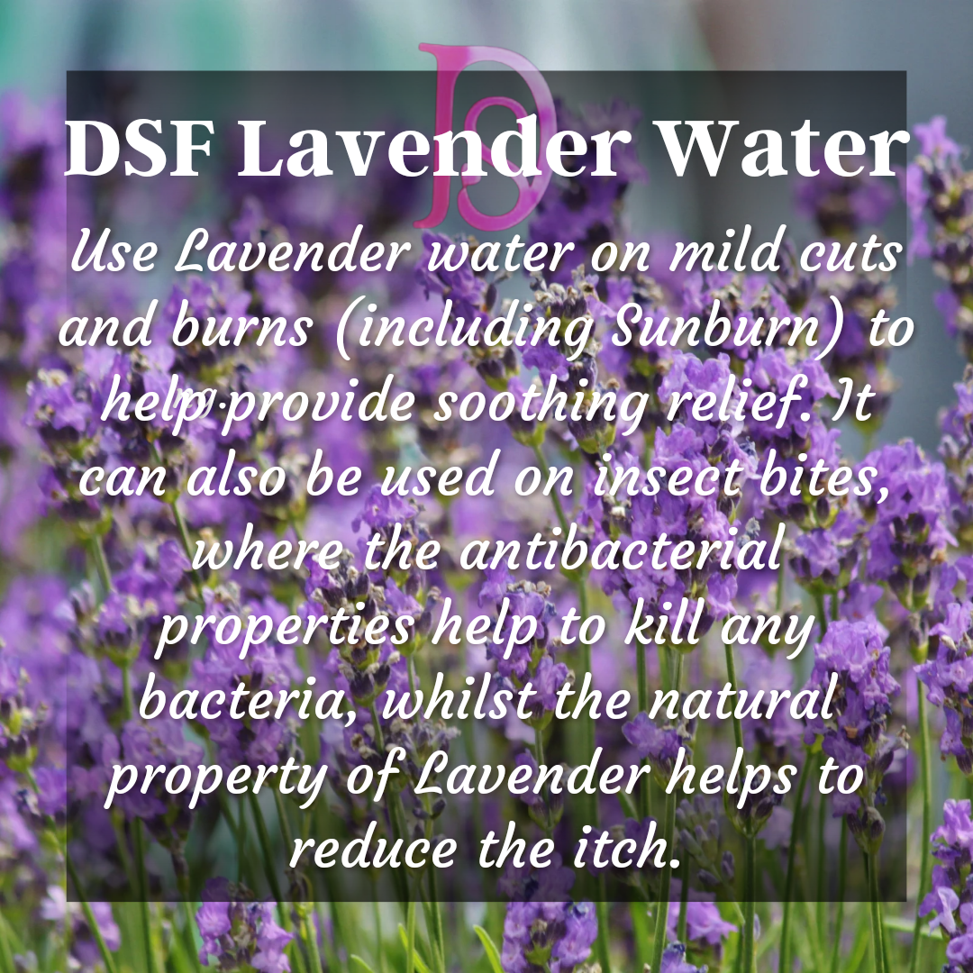 डीएसएफ लैवेंडर वॉटर II डीएसएफ लैवेंडर एसेंशियल वॉटर II डीएसएफ लैवेंडर हाइड्रोसोल II डीएसएफ लैवेंडर फ्लोरल वॉटर