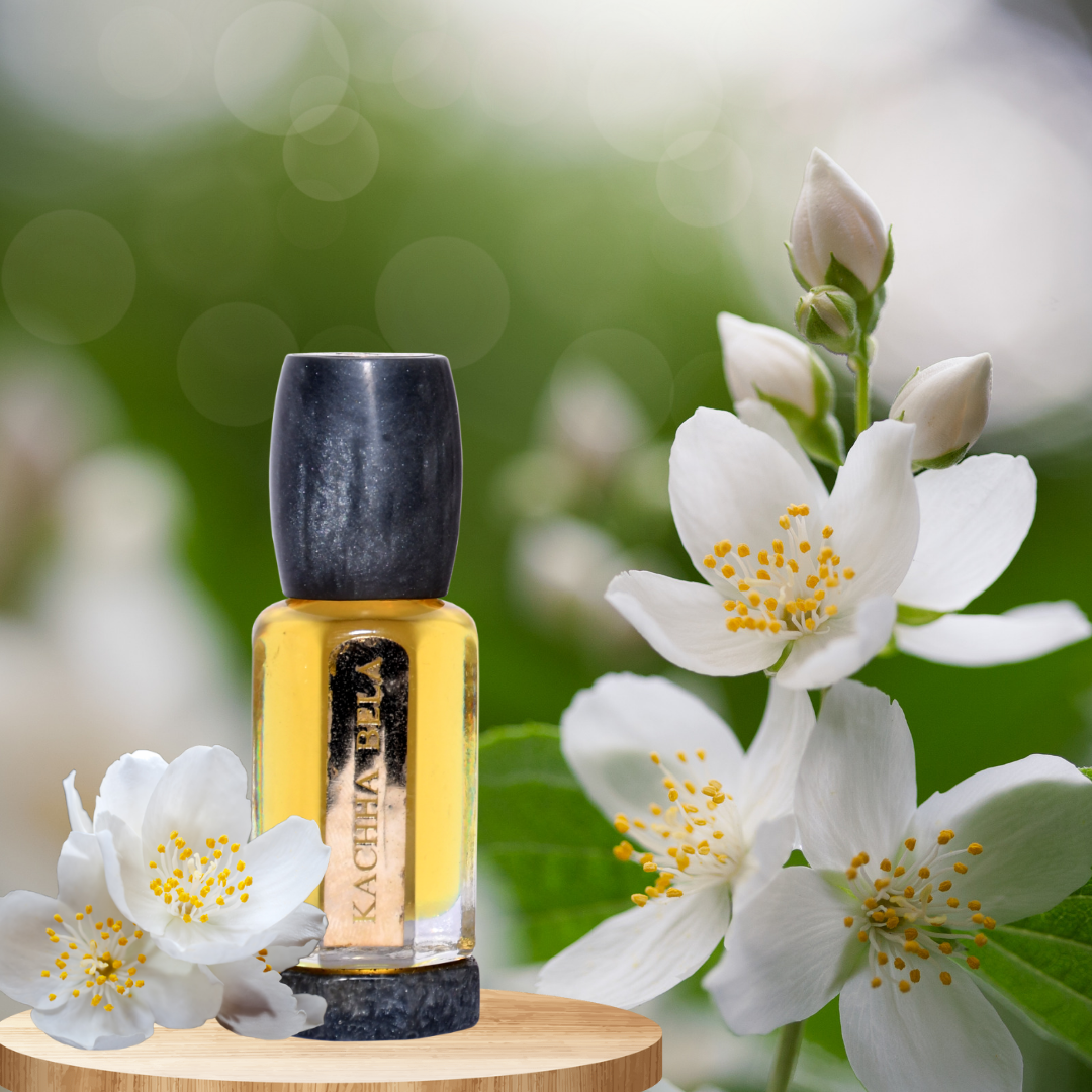 KACHHA BELA ABSOLUTE