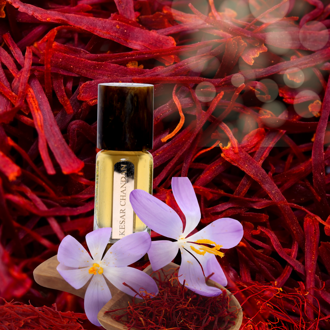 KESAR CHANDAN ABSOLUTE