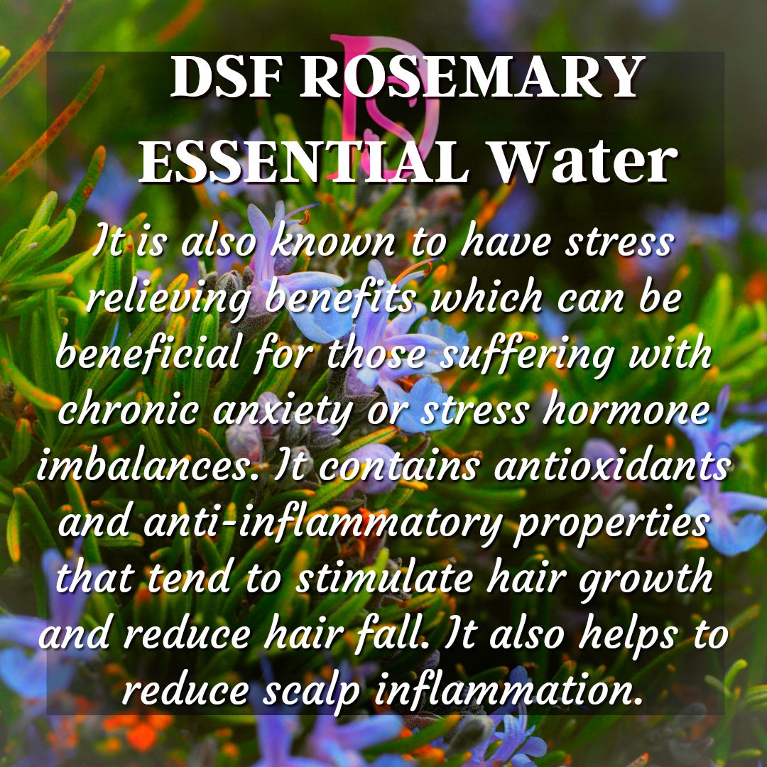 डीएसएफ रोज़मेरी पुष्प जल II डीएसएफ रोज़मेरी हाइड्रोसोल II डीएसएफ रोज़मेरी आवश्यक जल