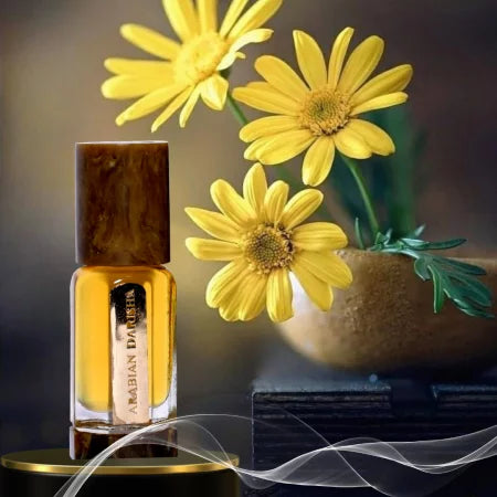 ARABIAN DARISHA ABSOLUTE