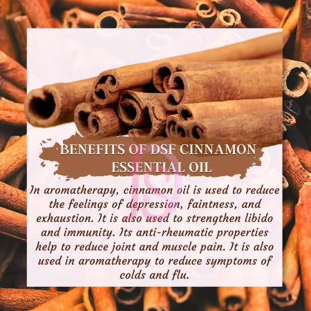 DSF Pure Cinnamon Essential Oil - Aromatherapy, Natural Perfumery, Food, Flavour, and Pharma