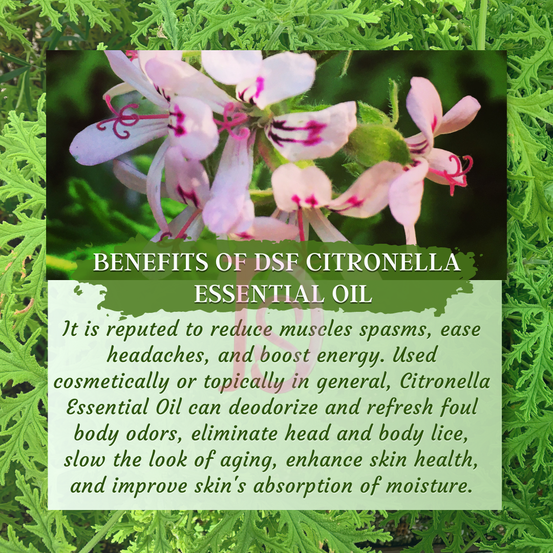 CITRONELLA OIL PURE