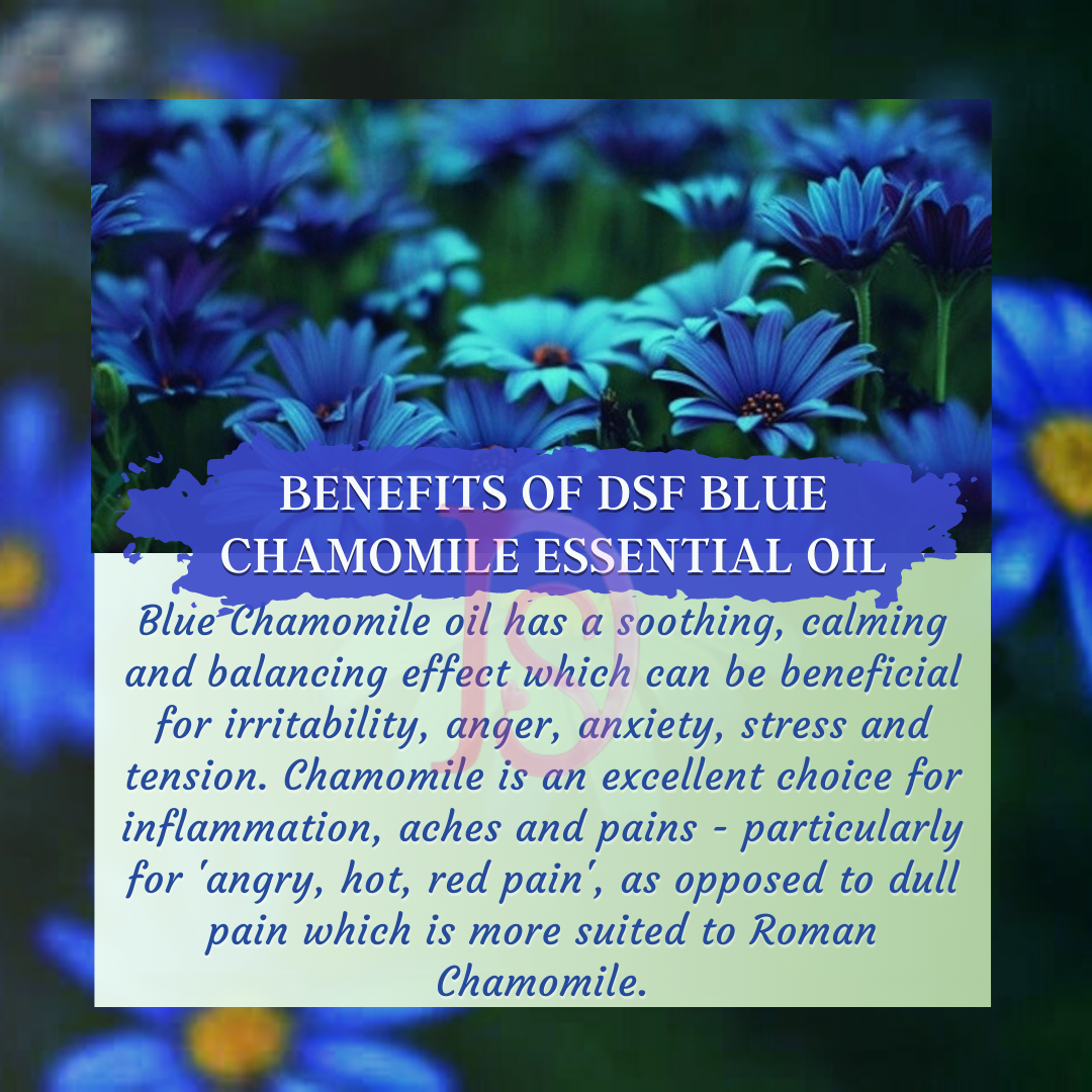 BLUE CHAMOMILE OIL PURE