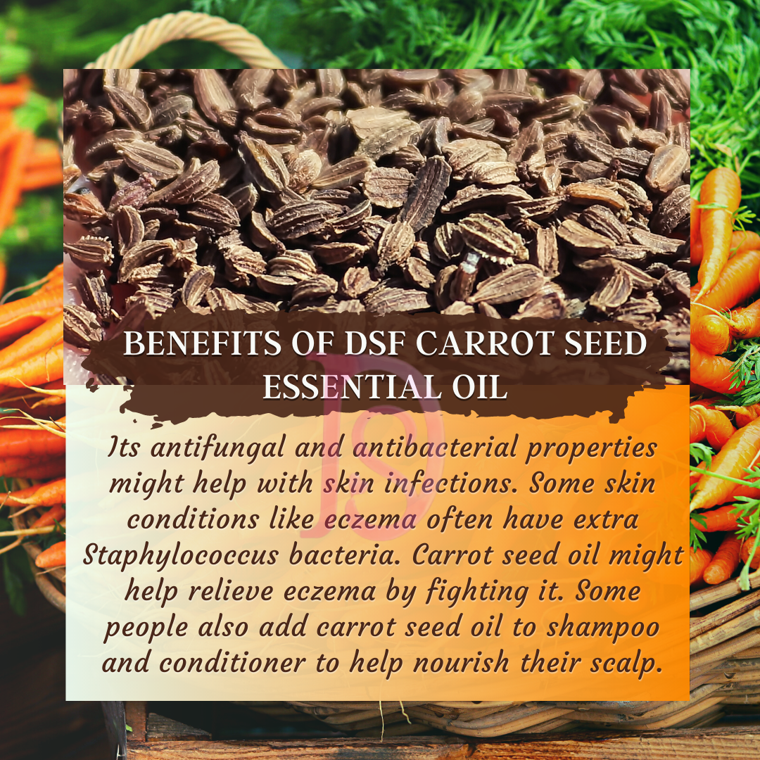 CARROT SEED OIL PURE