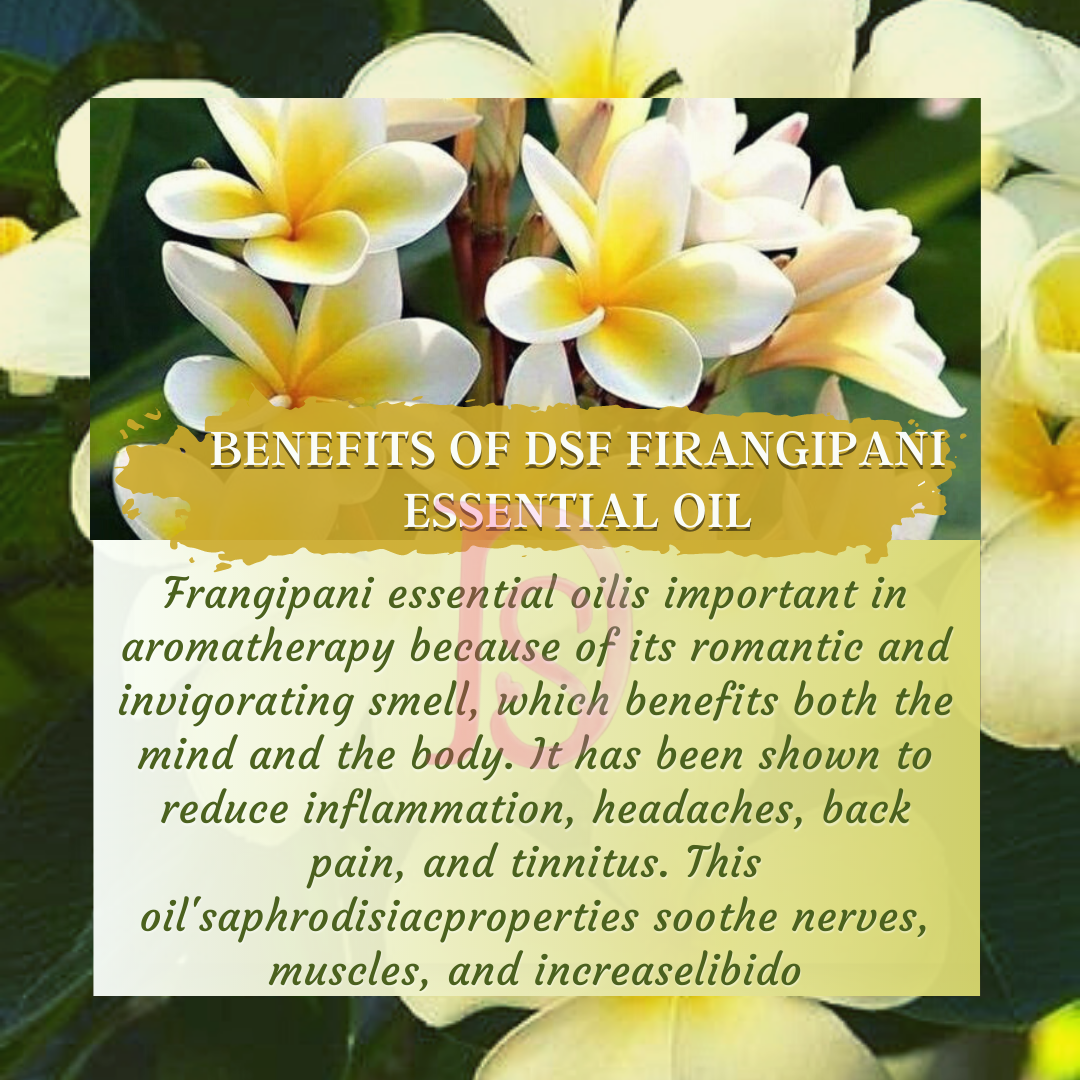 FRANGIPANI OIL PURE