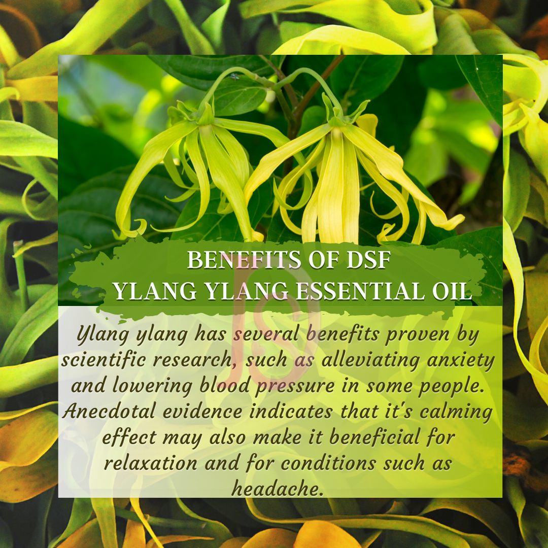 YLANG LANG OIL PURE
