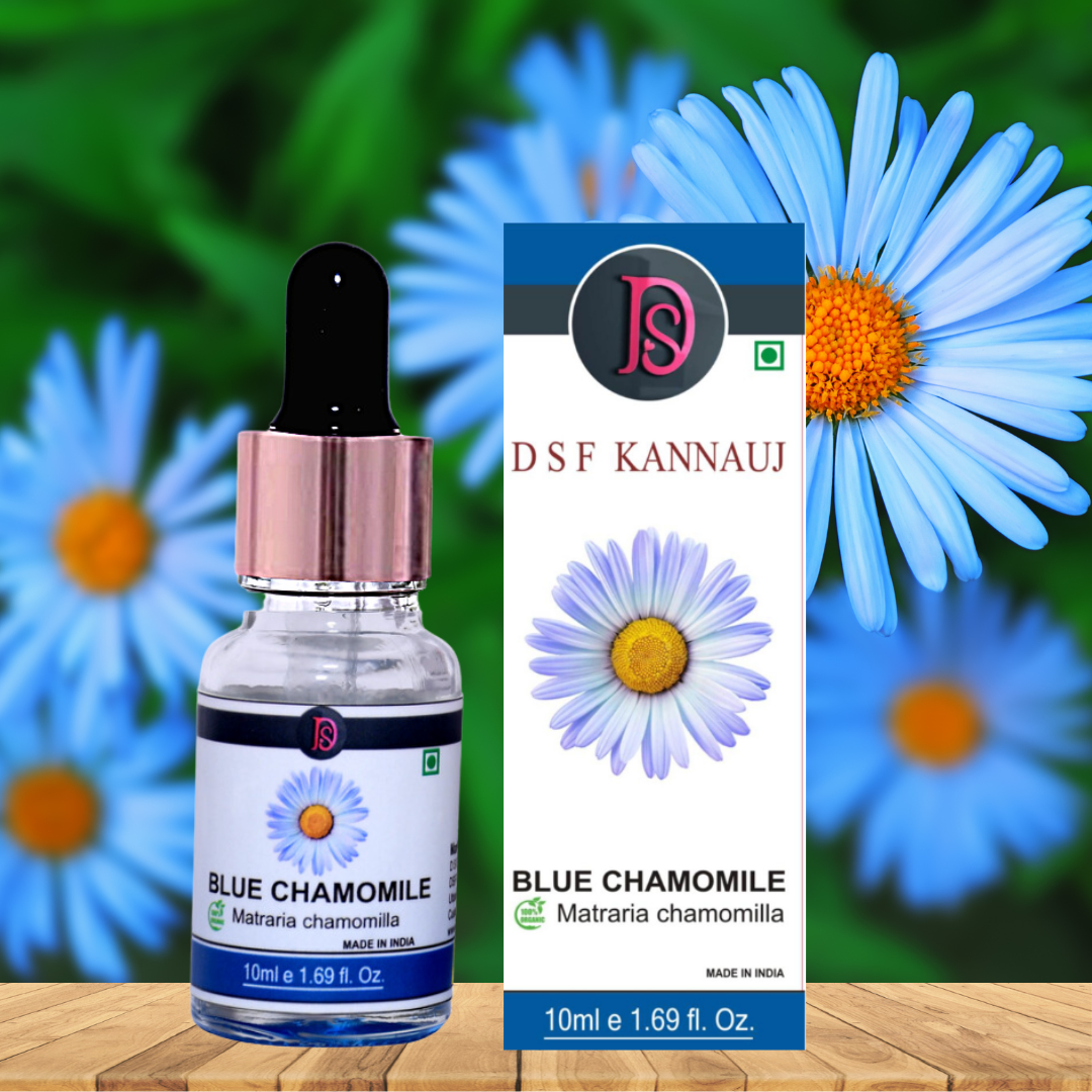 BLUE CHAMOMILE OIL PURE